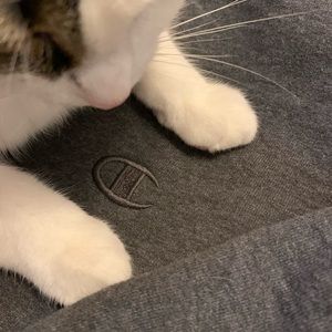 Cropped Champion Sweater